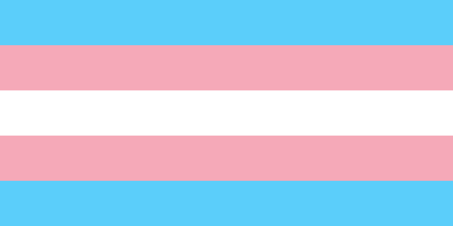 transgender pride collection